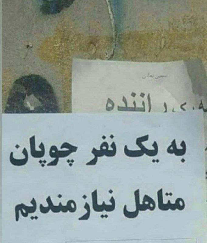 آروووم بیا !😅: فکر کنم نفر قبلی مجرد بوده، خیلی گوسفندارو اذیت میکرده.✊ @arom_bezan_rosh1 🍿