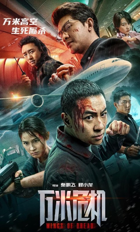 名称：电影：万米危机（2026）释小龙主演